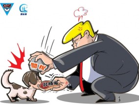 对美摇尾乞怜，赖清德换来关税大棒