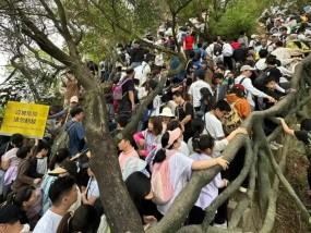 约满、限流！路上堵成猪肝红，有人抓狂：5个小时动了800米，气笑了