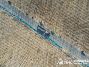 不负好春光添绿正当时——南疆各地掀起植树造林热潮