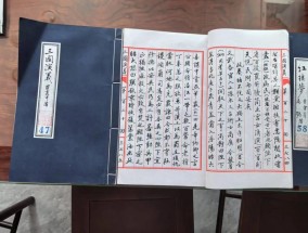 衡阳八旬老人历时12年手抄四大名著：用坏了几十支毛笔，340万字抄成300多本书