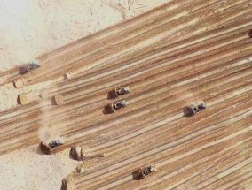 新疆和田：不负春光植新绿齐心共绘富民篇