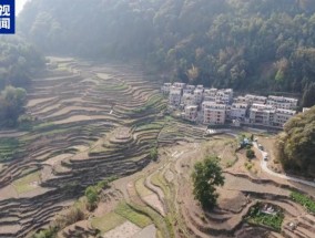 广西河池持续旱情影响7万亩农田多部门紧急送水保民生