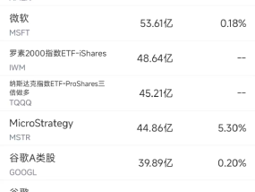 3月27日美股成交额前20：Applovin遭浑水做空，股价暴跌20%