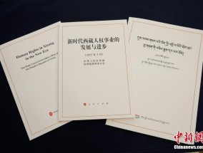 以发展促人权西藏经济社会权利保障水平全面提升