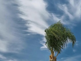 局地达13级！华北为何将现历史罕见大风？威力多大