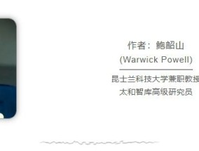 澳洲学者：美国一手打造的“自由世界”幻像被它自己戳破