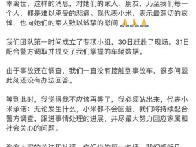 胡锡进：坦然做出回答，对社会好，对小米好，也对雷军好
