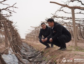 一年省出9个西湖看吐鲁番如何高效节水种葡萄