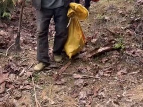 孙子爱吃竹笋，85岁爷爷奶奶清晨进山去挖，当事人：不只是笋，是沉甸甸的爱