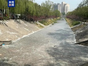 北京大风吹走的飞絮今天又来了，专家讲解背后原因
