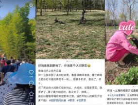 挖野菜、种蓝莓，打工人争当“都市陶渊明”