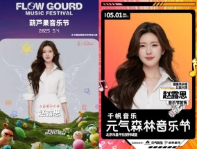 赵露思，别自虐了