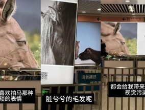 网友吐槽野马摄影广告“表情猥琐偷感很重”，北京地铁回应：不会撤掉