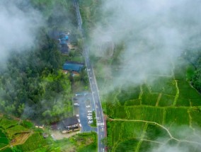 好评中国丨从茶烟袅袅中窥见文明脉络