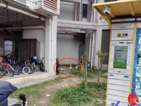 广州一小区发生高空抛物，清洁阿姨头被砸流血