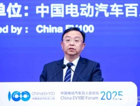 王传福：我国新能源汽车领先全球3-5年，企业要把握这个窗口期出海又出彩