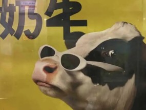 认养一头牛广告被质疑讽刺打工人，公司回应：致敬BOSS直聘