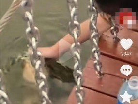 北京一水域疑现鳄龟险些伤人，被袭击女孩亲属：太可怕了，想想都后怕