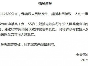 大风天树木倒伏砸中一名女子，安徽一地通报：经医院救治无效死亡