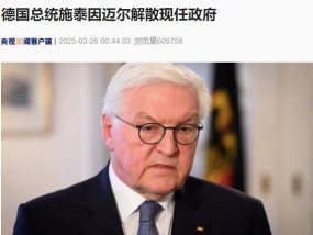 德国总统解散现任政府，发生了什么？